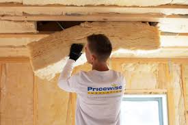 Best Attic Insulation Installation  in Forrest, IL